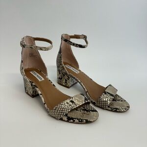 Snake skin Steve Madden Sandal
